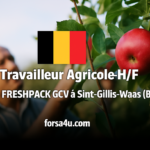 وظائف موسمية في بلجيكا للعمال الزراعيين